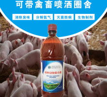 深探高清影像下的微生物防线 除臭菌如何守护环境清新？