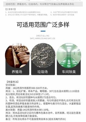 高效生物除臭剂的应用 养殖环境净化菌、圈舍净化菌与河道处理菌的协同作用